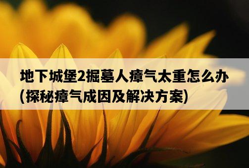 地下城堡2掘墓人瘴氣太重怎么辦，探秘瘴氣成因及解決方案-圖1