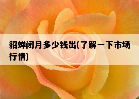 貂蟬閉月多少錢出，了解一下市場行情-圖1
