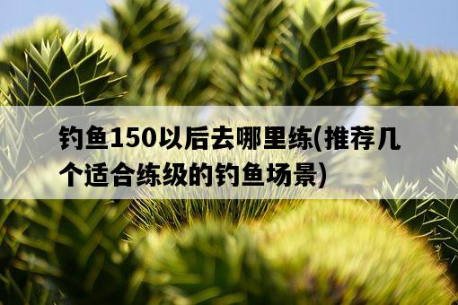 釣魚150以后去哪里練，推薦幾個適合練級的釣魚場景-圖1