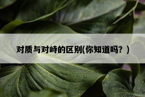 對質與對峙的區別，你知道嗎？-圖1