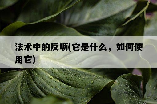 法術中的反嚦，它是什么，如何使用它-圖1