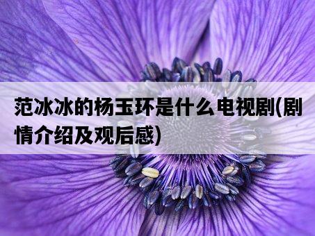 范冰冰的楊玉環是什么電視劇，劇情介紹及觀后感-圖1
