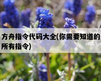 方舟指令代碼大全，你需要知道的所有指令-圖1