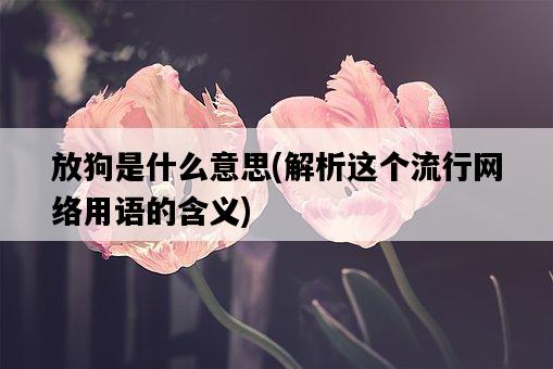 放狗是什么意思，解析這個流行網絡用語的含義-圖1