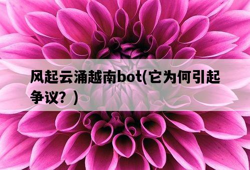 風起云涌越南bot，它為何引起爭議？-圖1