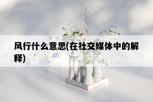 風行什么意思，在社交媒體中的解釋-圖1