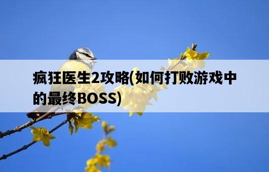 瘋狂醫生2攻略，如何打敗游戲中的最終BOSS-圖1