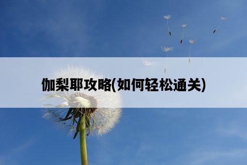 伽梨耶攻略，如何輕松通關-圖1