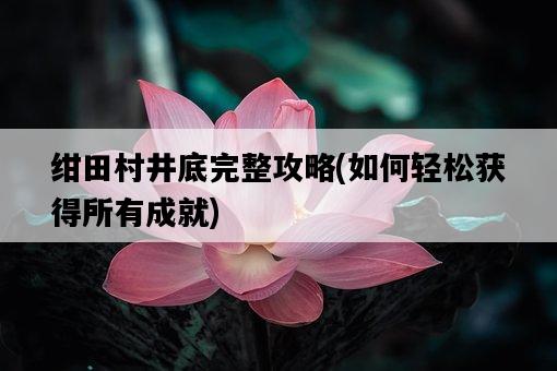 紺田村井底完整攻略，如何輕松獲得所有成就-圖1