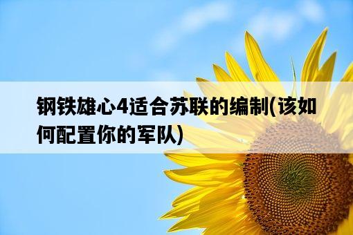 鋼鐵雄心4適合蘇聯的編制，該如何配置你的軍隊-圖1