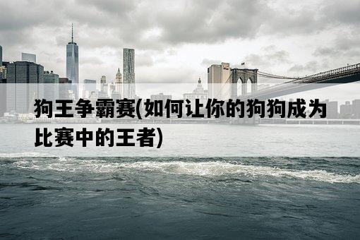 狗王爭霸賽，如何讓你的狗狗成為比賽中的王者-圖1