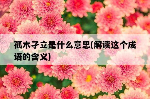孤木孑立是什么意思，解讀這個成語的含義-圖1