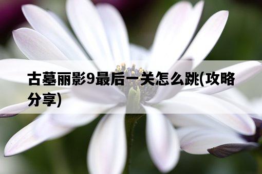 古墓麗影9最后一關怎么跳，攻略分享-圖1