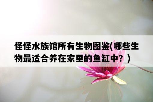 怪怪水族館所有生物圖鑒，哪些生物最適合養在家里的魚缸中？-圖1