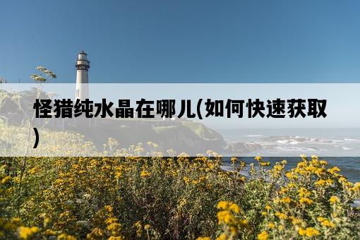 怪獵純水晶在哪兒，如何快速獲取-圖1
