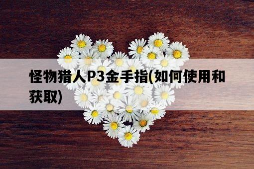 怪物獵人P3金手指，如何使用和獲取-圖1