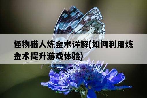 怪物獵人煉金術詳解，如何利用煉金術提升游戲體驗-圖1