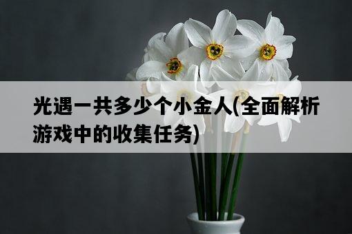 光遇一共多少個小金人，全面解析游戲中的收集任務-圖1