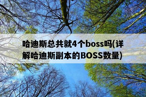 哈迪斯總共就4個boss嗎，詳解哈迪斯副本的BOSS數量-圖1