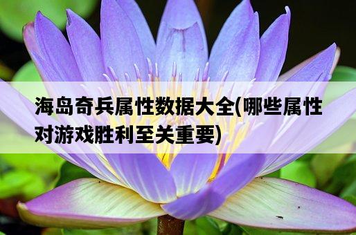 海島奇兵屬性數據大全，哪些屬性對游戲勝利至關重要-圖1