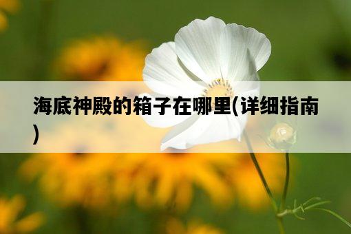 海底神殿的箱子在哪里，詳細指南-圖1