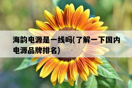 海韻電源是一線嗎，了解一下國內電源品牌排名-圖1