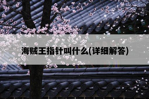 海賊王指針叫什么，詳細解答-圖1