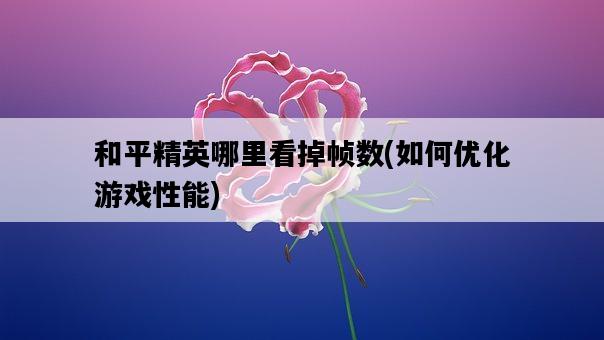 和平精英哪里看掉幀數，如何優化游戲性能-圖1