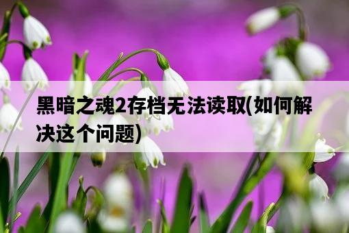 黑暗之魂2存檔無法讀取，如何解決這個問題-圖1