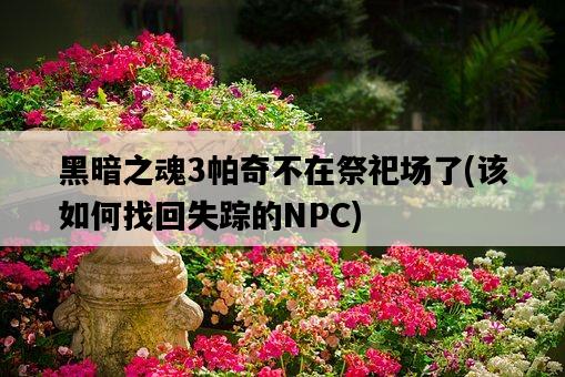 黑暗之魂3帕奇不在祭祀場了，該如何找回失蹤的NPC-圖1