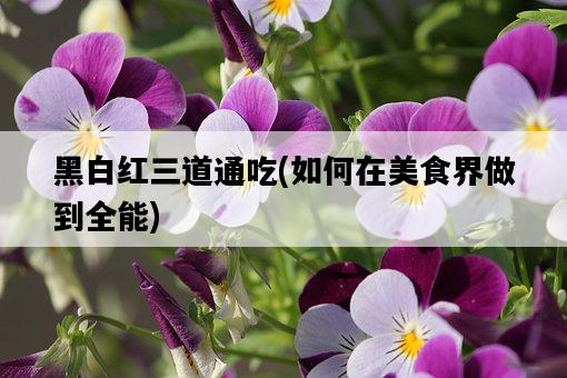 黑白紅三道通吃，如何在美食界做到全能-圖1