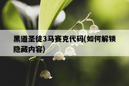黑道圣徒3馬賽克代碼，如何解鎖隱藏內容-圖1