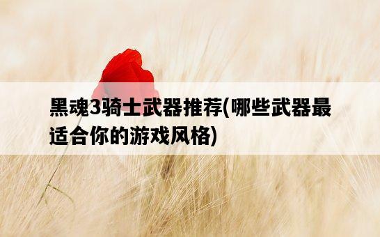 黑魂3騎士武器推薦，哪些武器最適合你的游戲風格-圖1