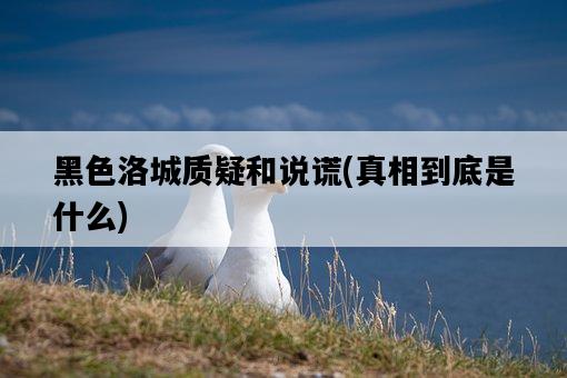 黑色洛城質疑和說謊，真相到底是什么-圖1