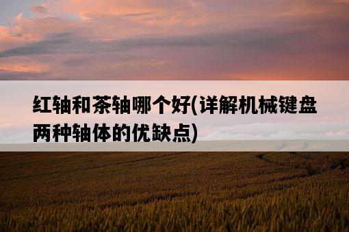 紅軸和茶軸哪個好，詳解機械鍵盤兩種軸體的優缺點-圖1
