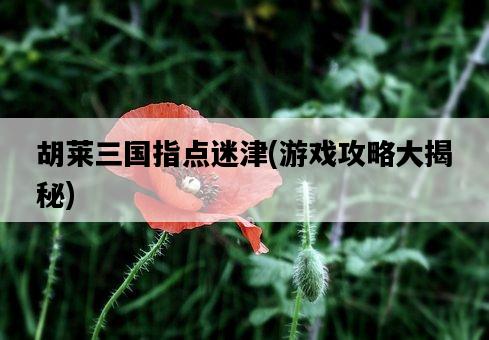 胡萊三國指點迷津，游戲攻略大揭秘-圖1