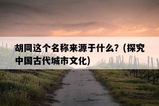 胡同這個名稱來源于什么？，探究中國古代城市文化-圖1