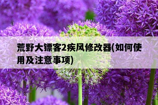 荒野大鏢客2疾風修改器，如何使用及注意事項-圖1