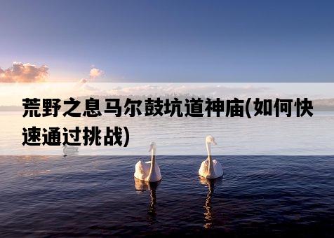 荒野之息馬爾鼓坑道神廟，如何快速通過挑戰-圖1