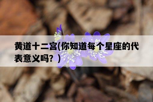 黃道十二宮，你知道每個星座的代表意義嗎？-圖1