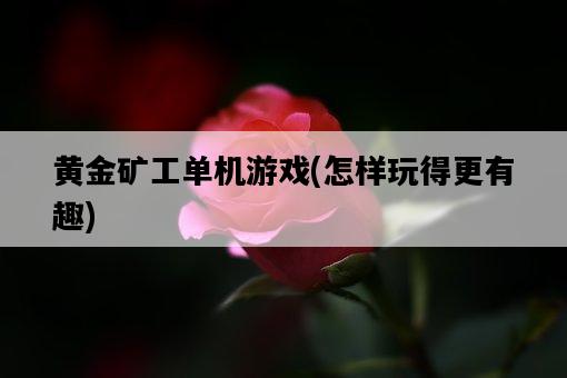 黃金礦工單機游戲，怎樣玩得更有趣-圖1