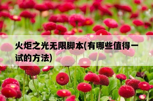 火炬之光無限腳本，有哪些值得一試的方法-圖1