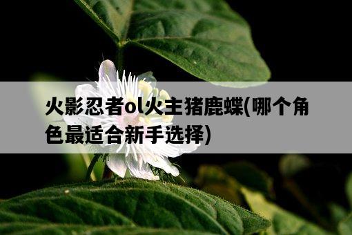 火影忍者ol火主豬鹿蝶，哪個角色最適合新手選擇-圖1