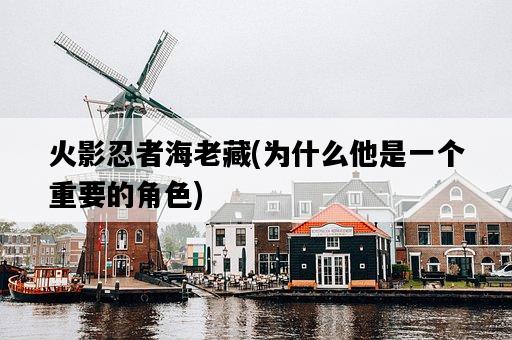 火影忍者海老藏，為什么他是一個重要的角色-圖1