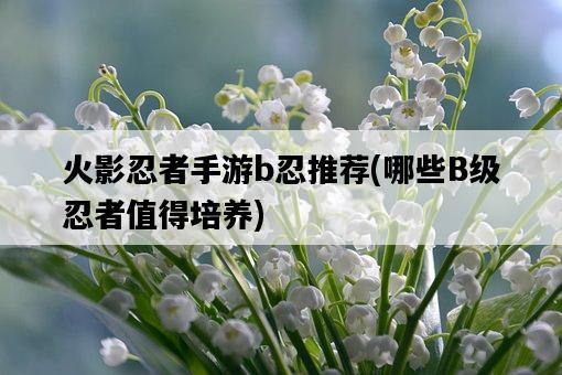 火影忍者手游b忍推薦，哪些B級忍者值得培養-圖1