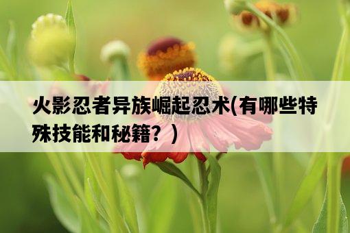 火影忍者異族崛起忍術，有哪些特殊技能和秘籍？-圖1