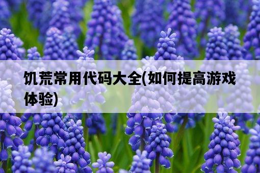 饑荒常用代碼大全，如何提高游戲體驗-圖1