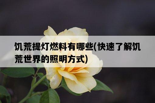 饑荒提燈燃料有哪些，快速了解饑荒世界的照明方式-圖1
