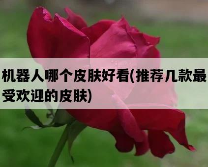 機器人哪個皮膚好看，推薦幾款最受歡迎的皮膚-圖1