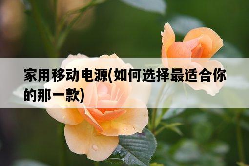 家用移動電源，如何選擇最適合你的那一款-圖1